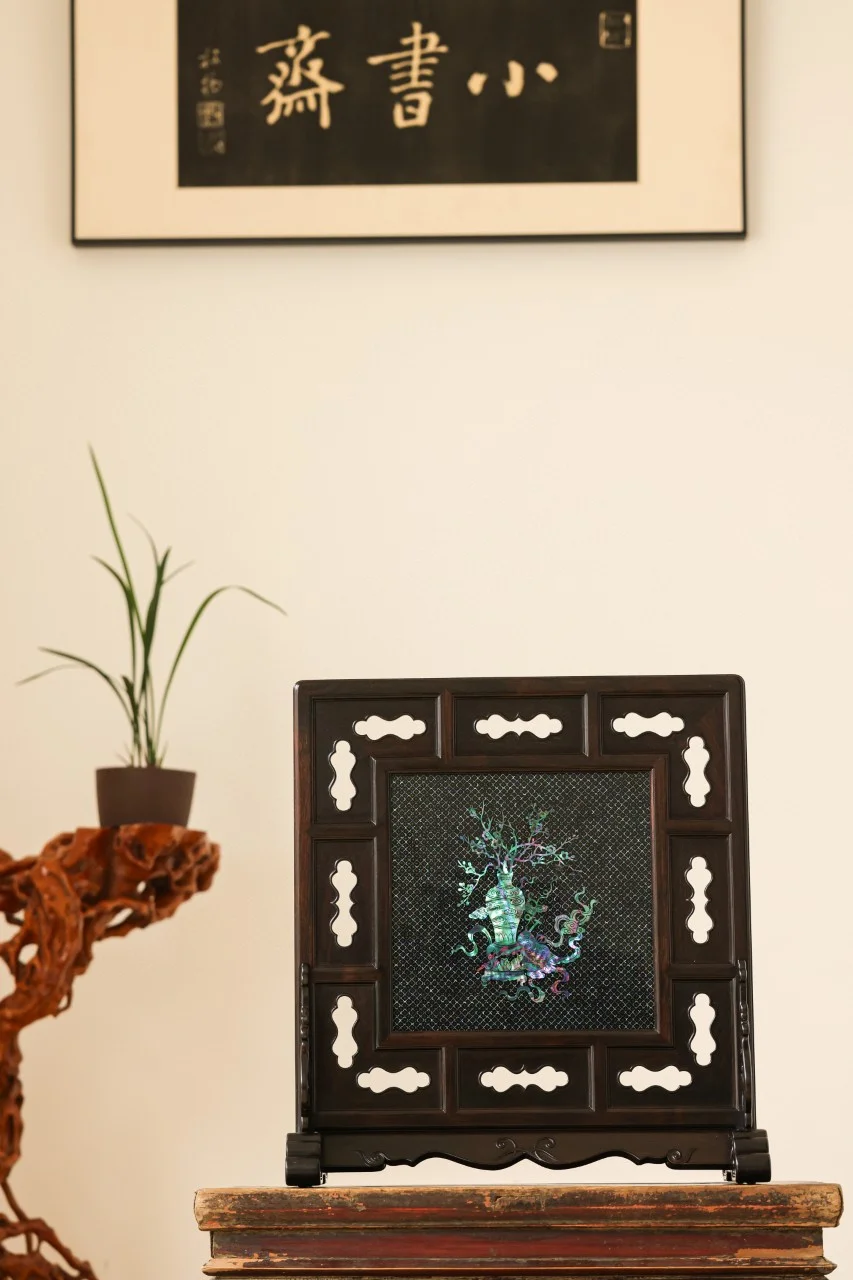 入坑螺钿?会变色的「小星光」