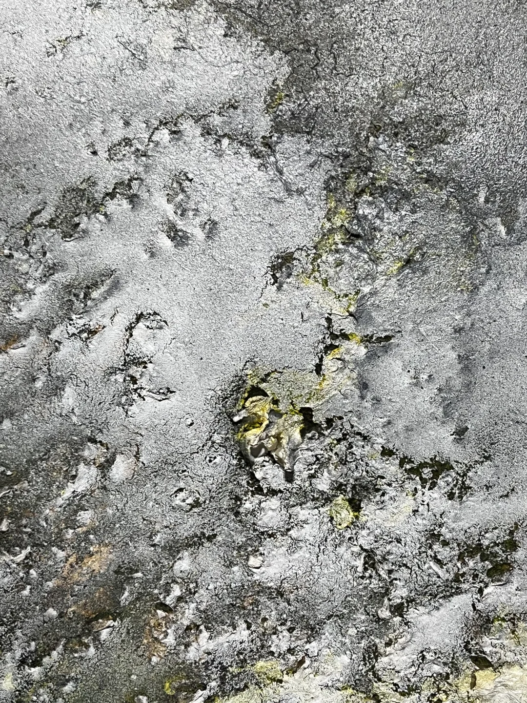 露珠与闪电：郑忠《文脉之光》的刹那澄明