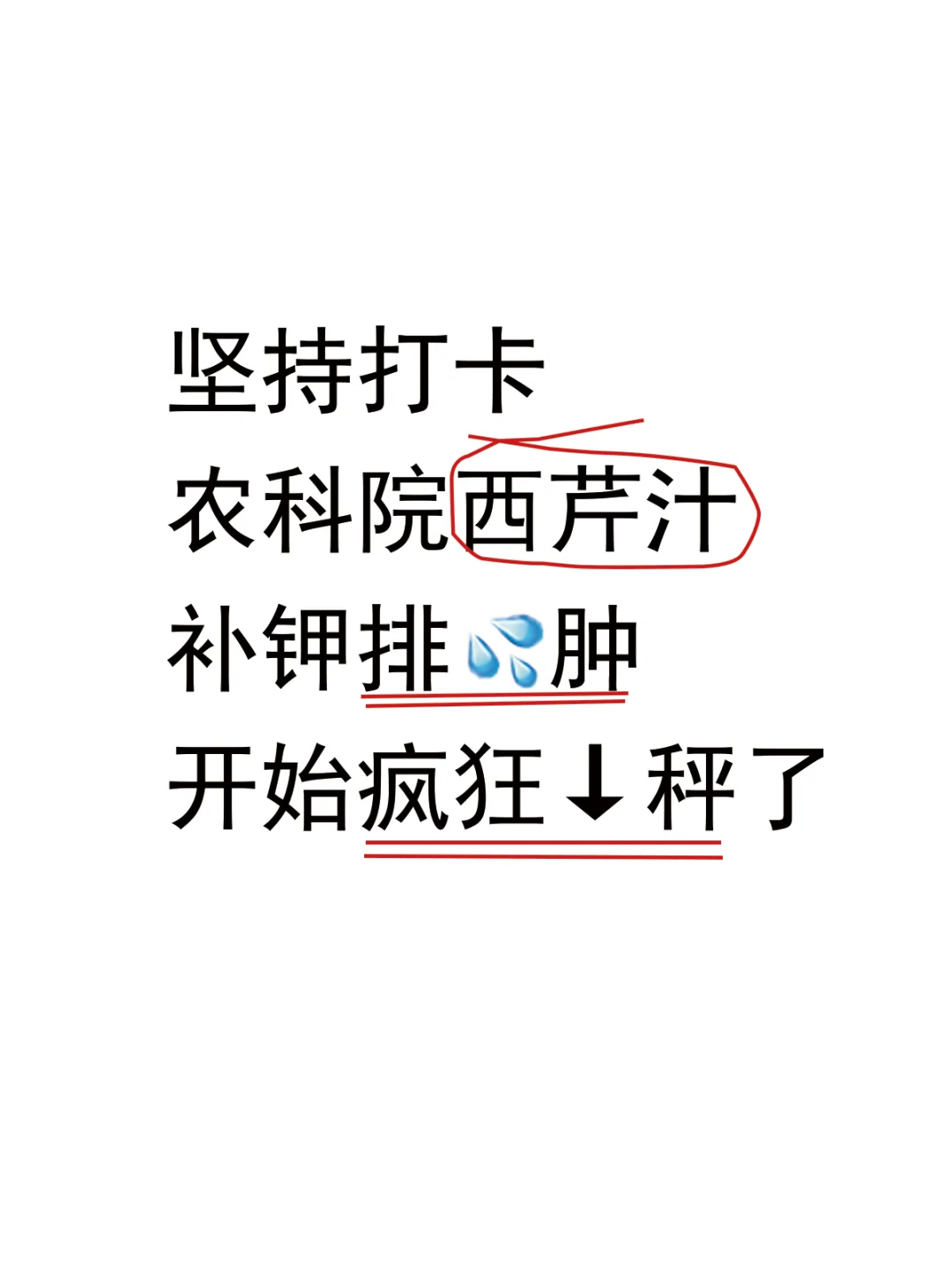 秋冬暴食控制不住?试试农科院西芹饮