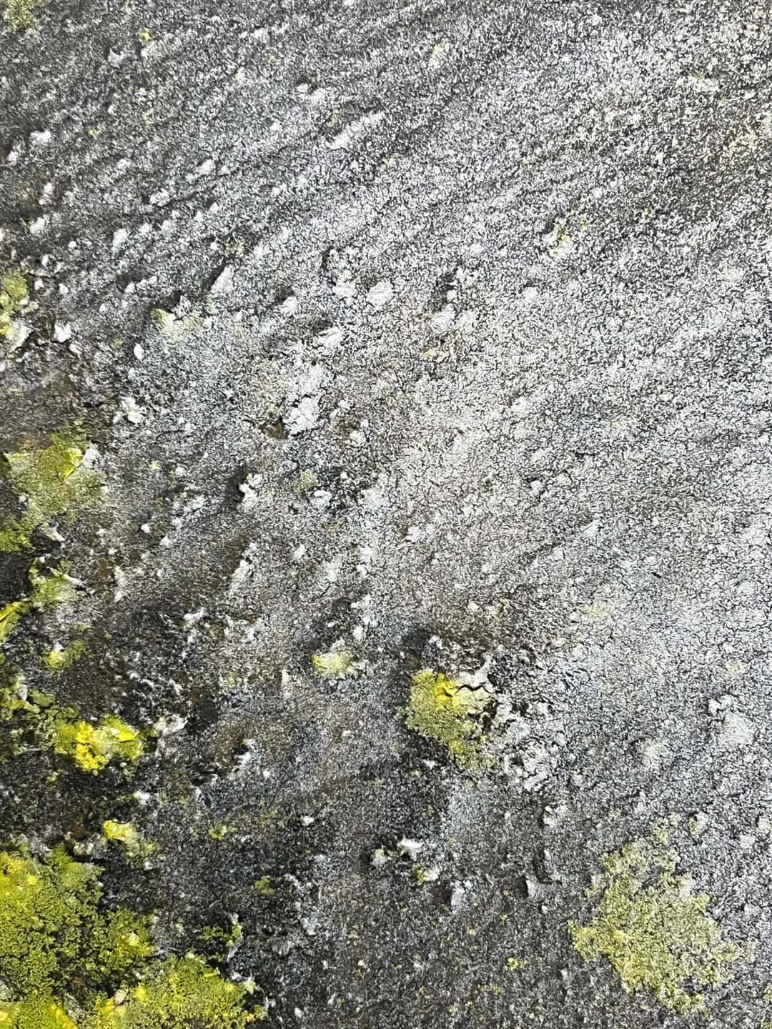 露珠与闪电：郑忠《文脉之光》的刹那澄明