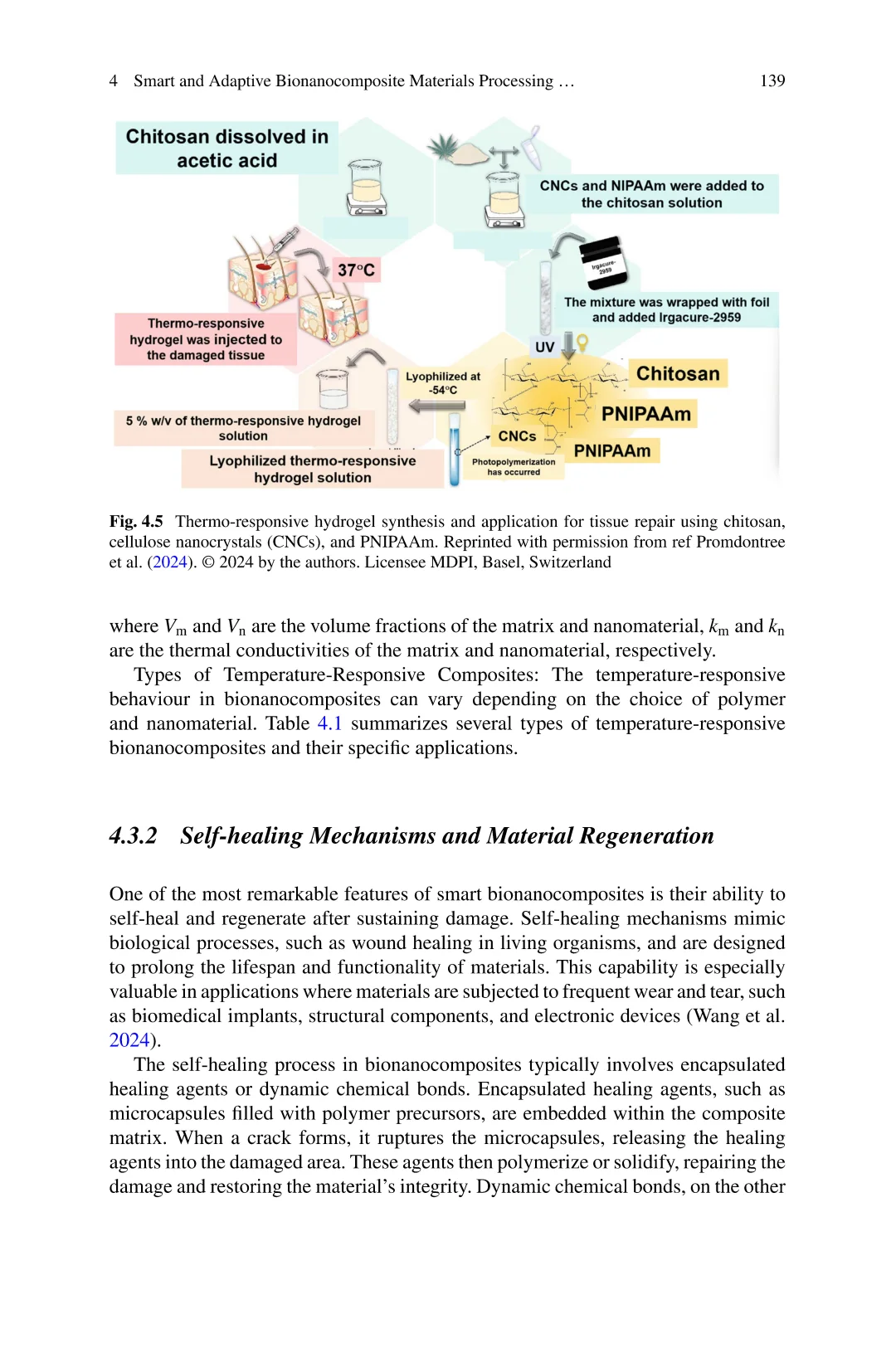 先进生物纳米复合材料:可持续发展的创新