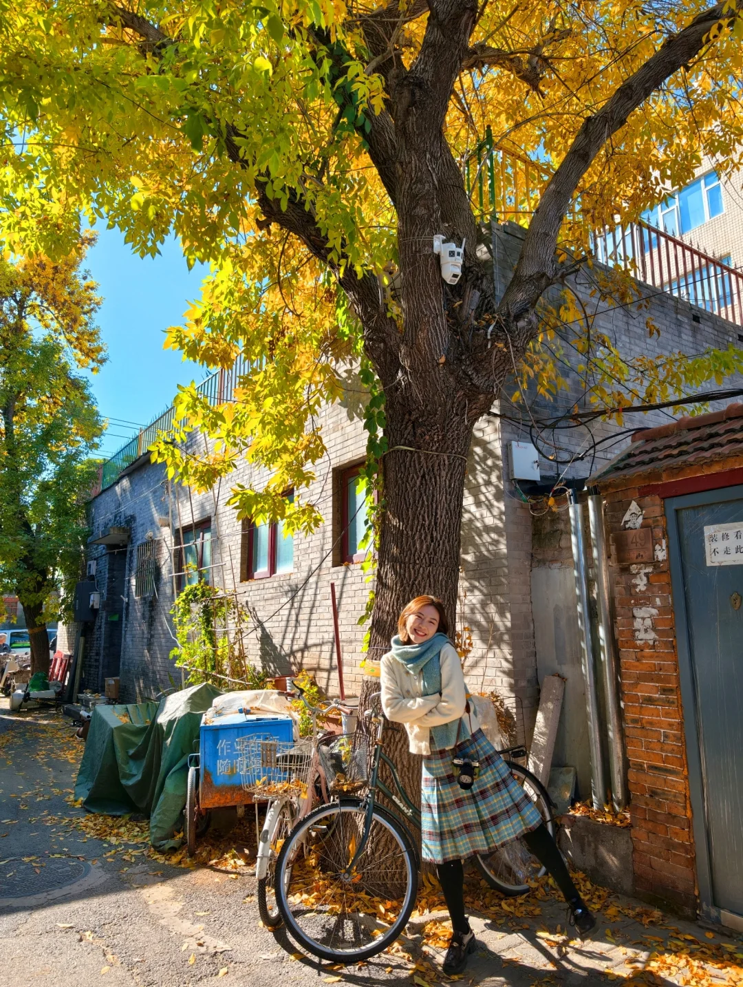 10.26实拍‼️北京5️⃣个人少落叶绝美胡同