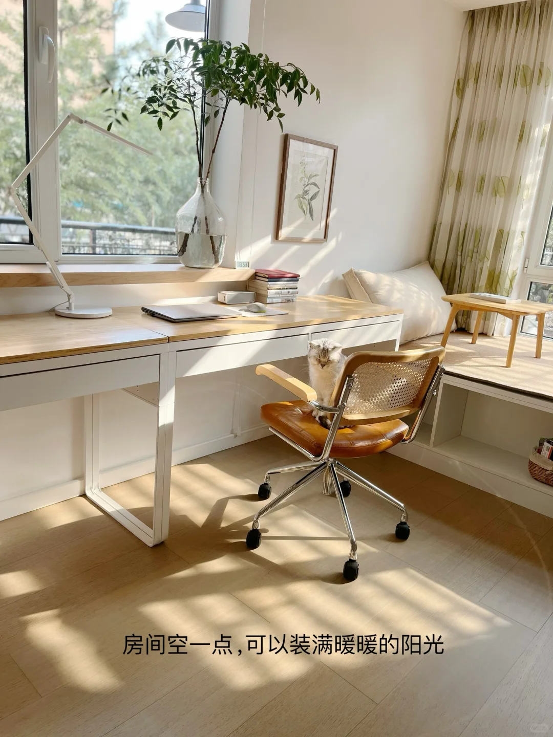 哪里都干净的生活|真的很养人