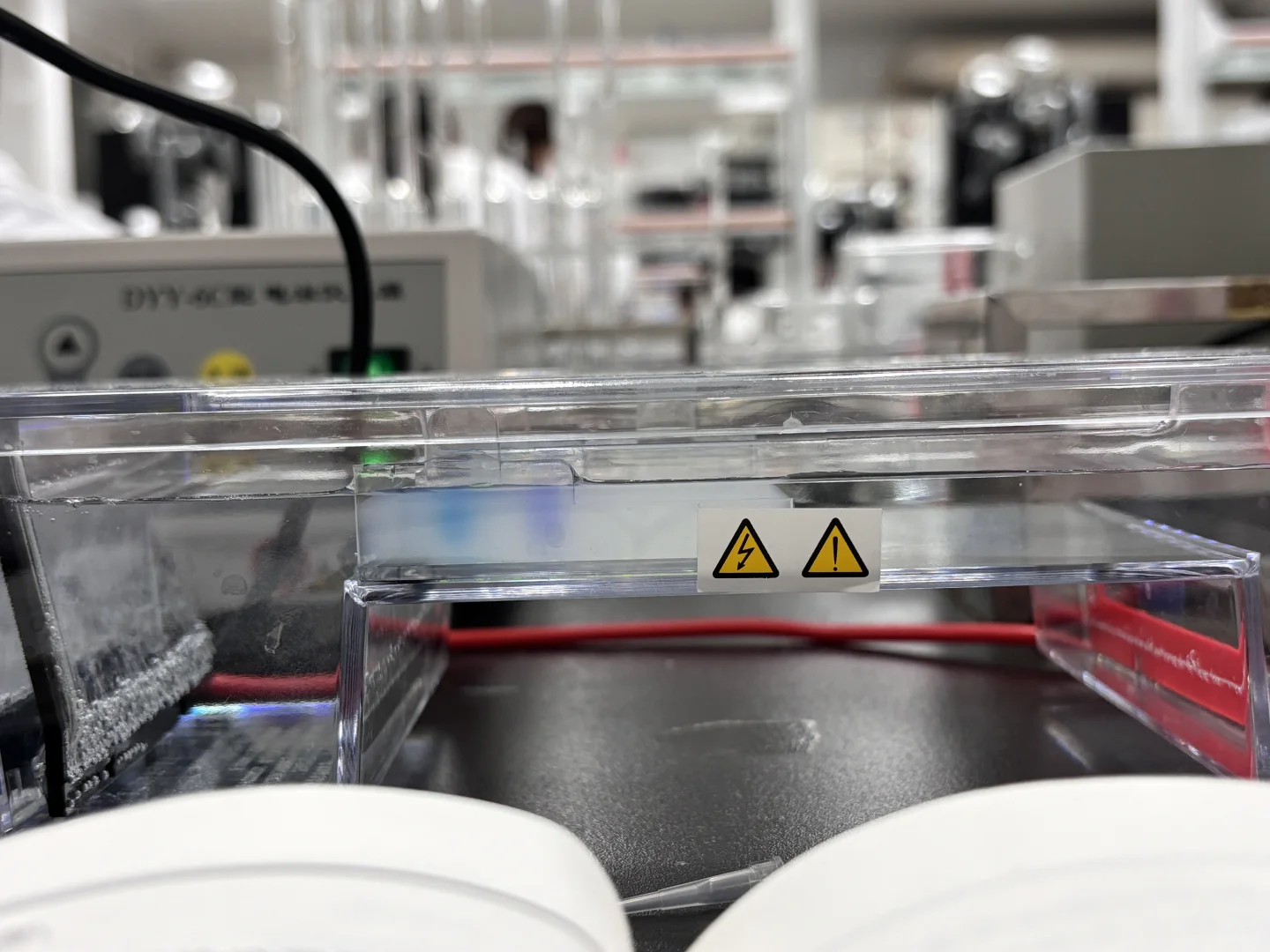 ?中山电科大 食安实验课