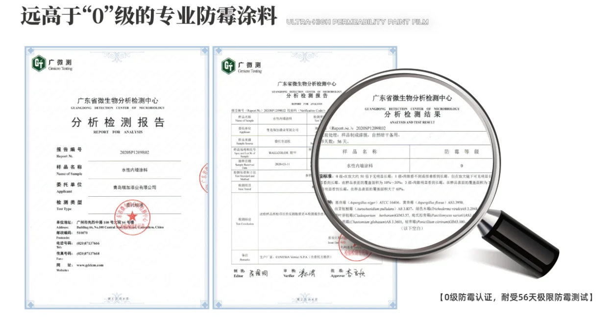 墙面“发霉”怎么办