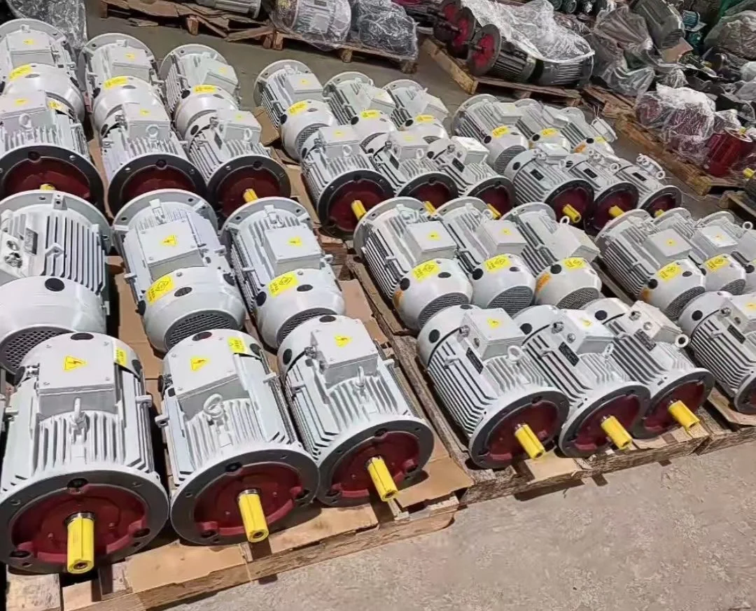 永磁步电机专业厂家（0.25kw到1000kw）