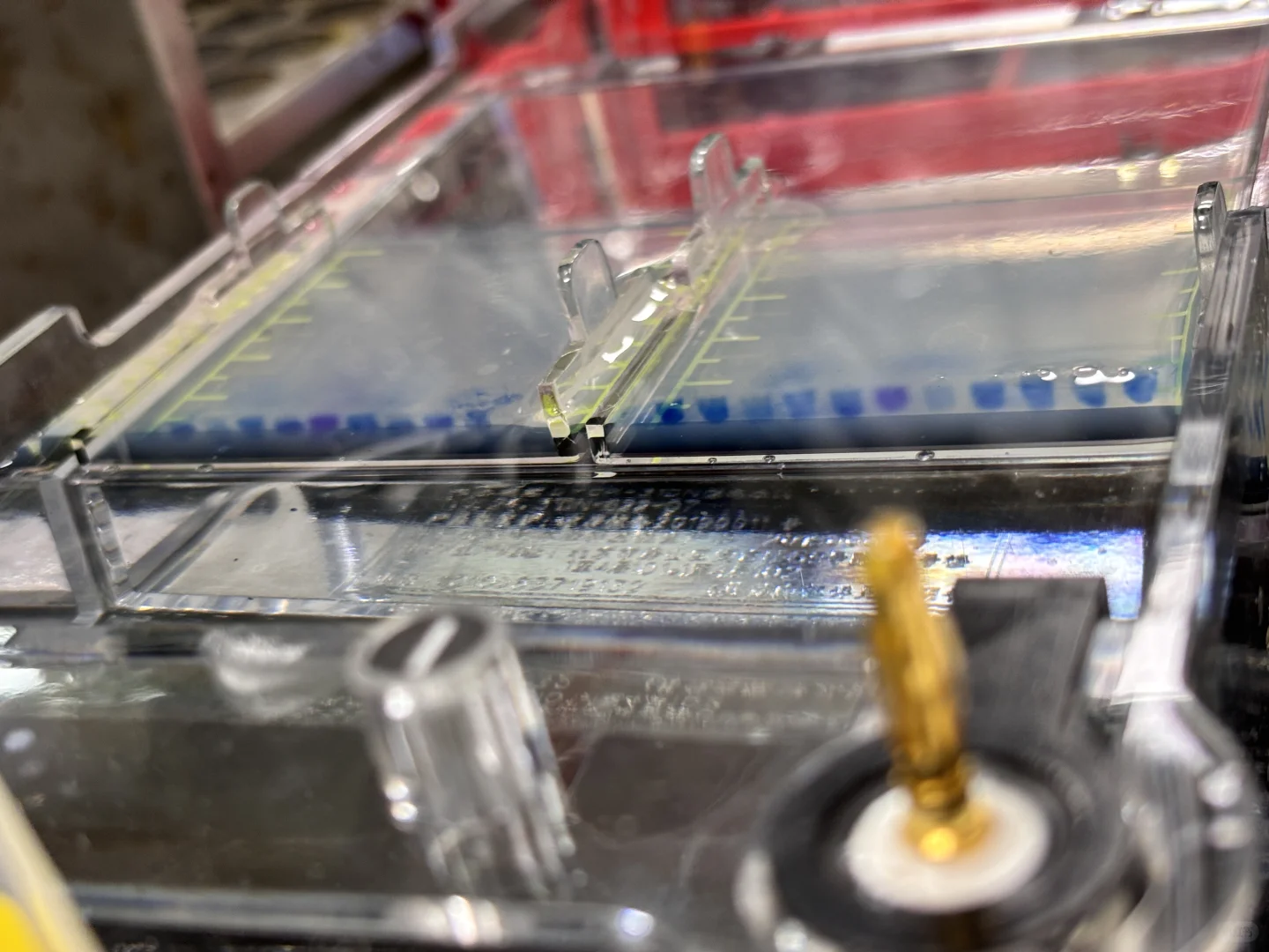 ?中山电科大 食安实验课