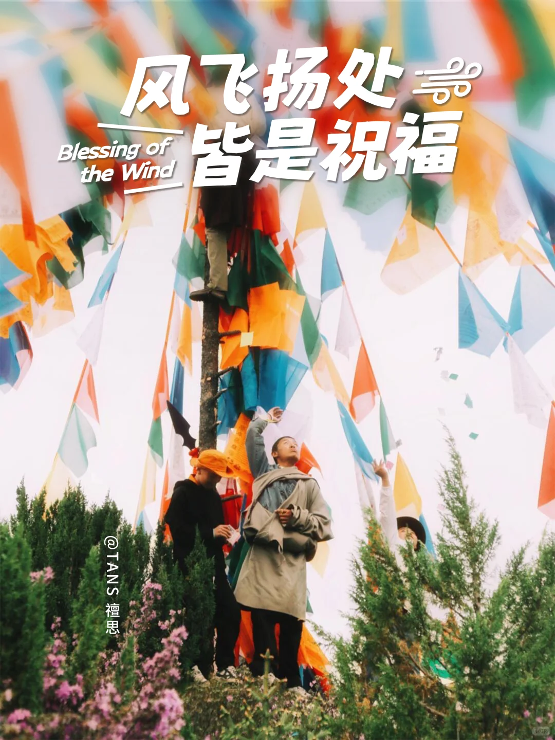 别只收藏！是时候分享你的宝藏自驾路线了！