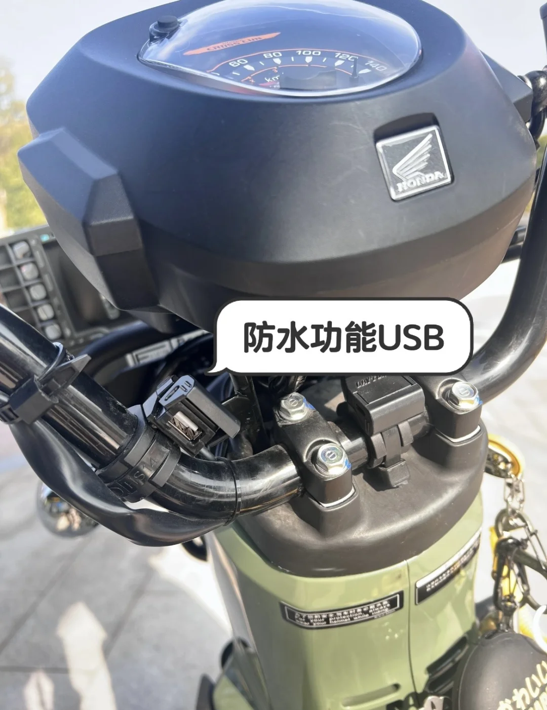 让我看看你们幼兽都改装了啥