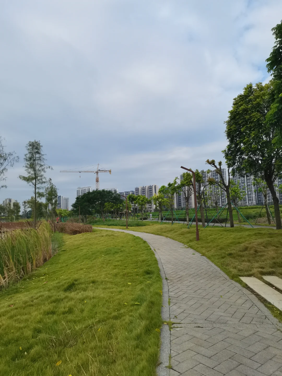 心理咨询师的学习成长不宜操之过急需要沉淀