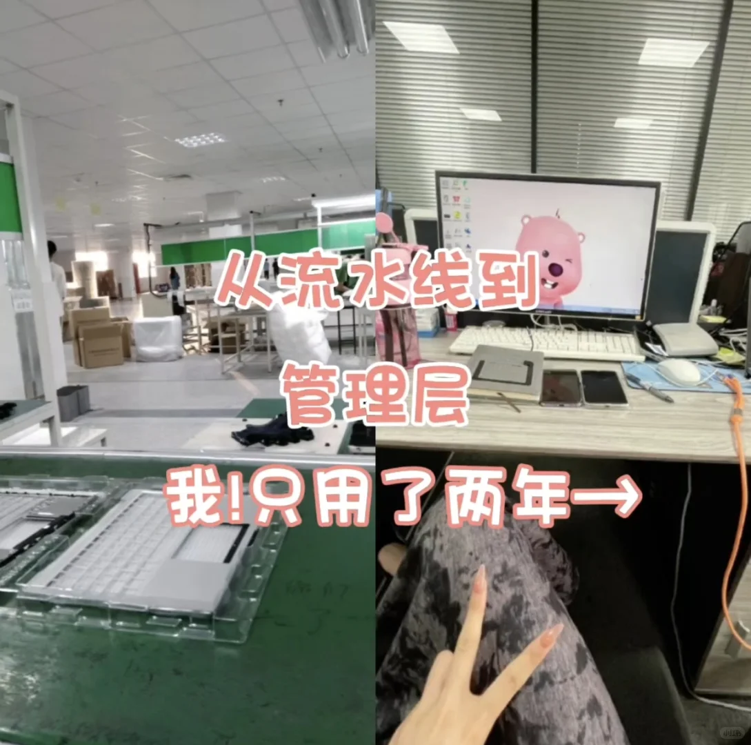 工厂逆袭的两年,