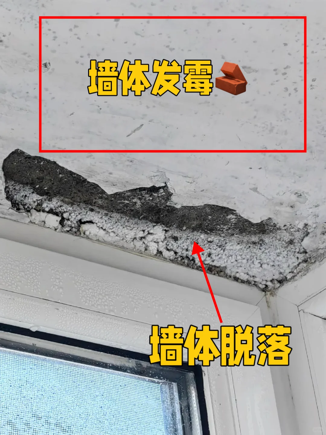 北方别装断桥铝窗⁉️冬天窗户好多冷凝水结冰