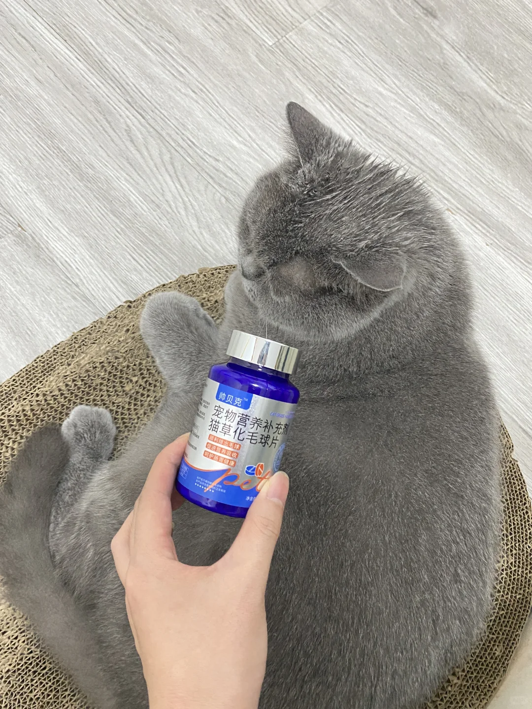 ?真·猫草提取+天然膳食纤维