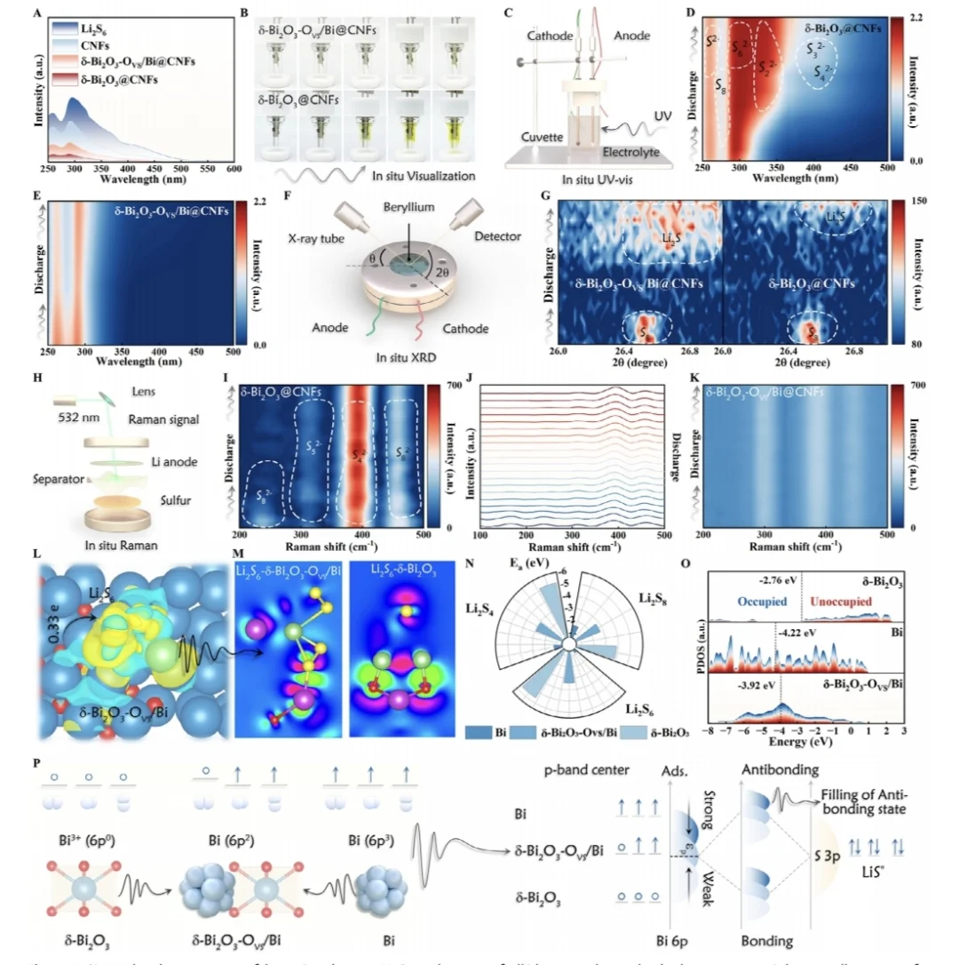 AM 铋基异相p轨道调控催化 DFT