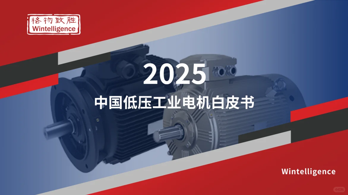 《2025年中国低压工业电机市场白皮书》