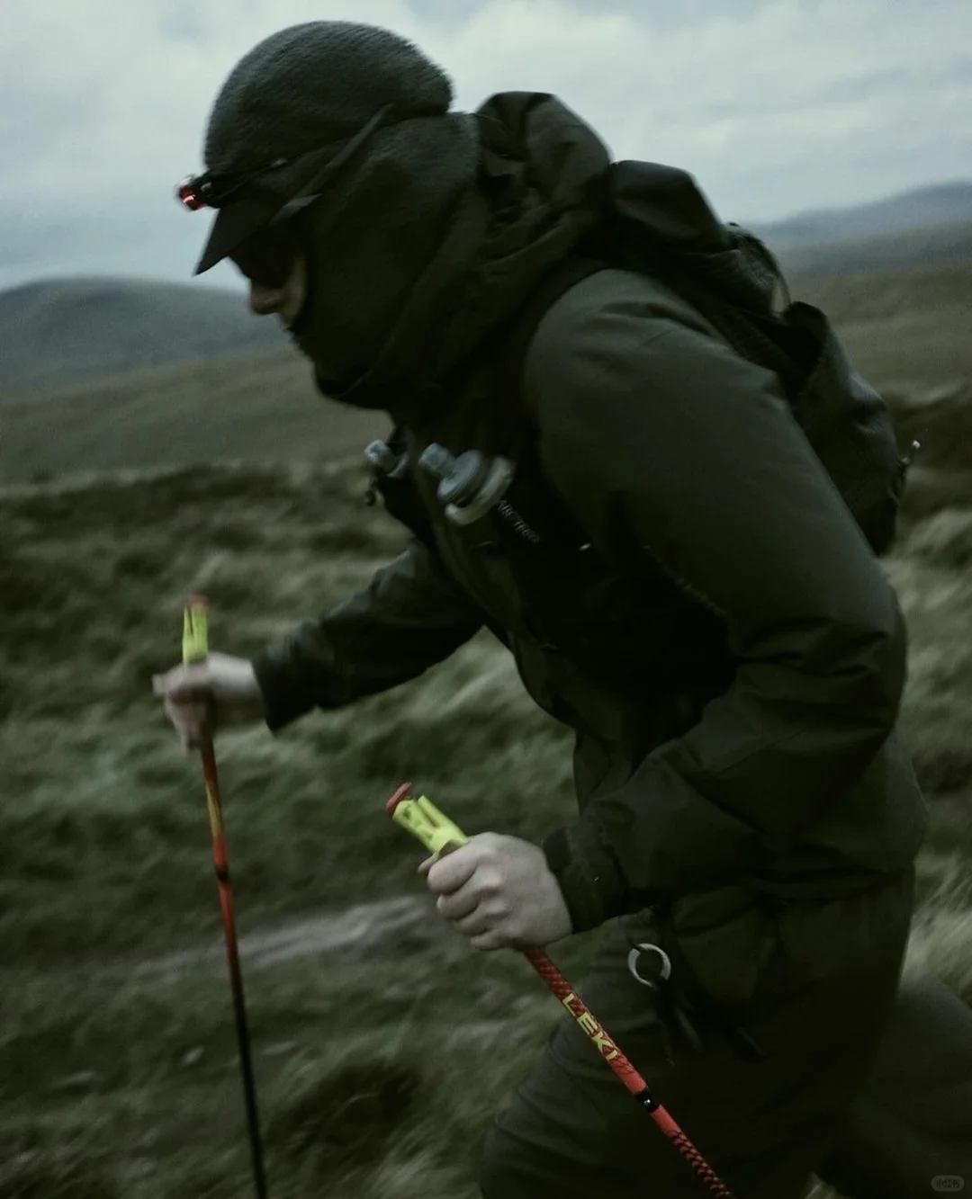 来自 Senchi Designs 的自然见解?