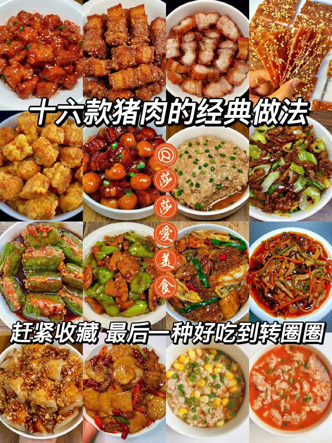 十六种猪肉的经典做法