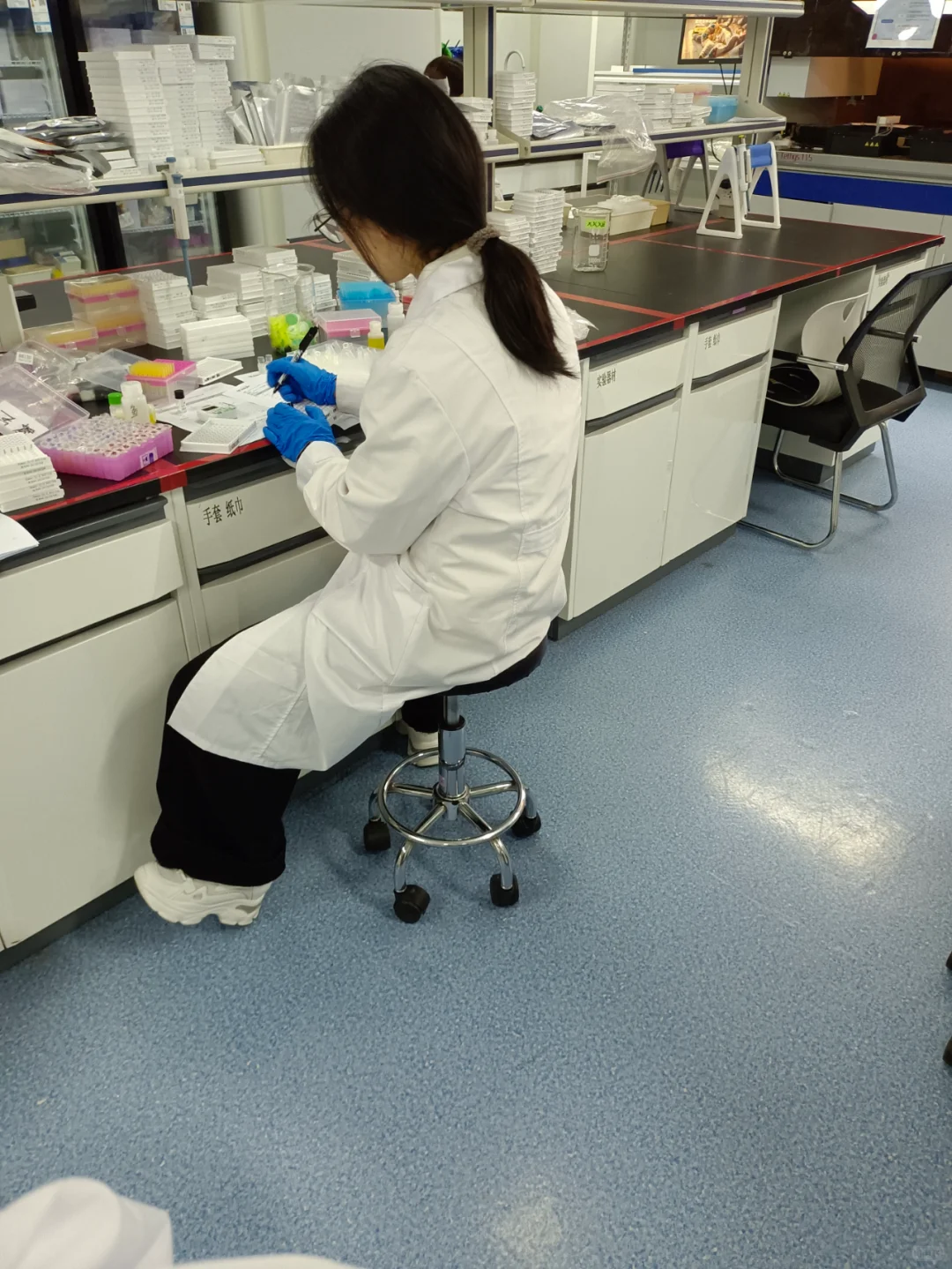 师妹说研究生的活是个人都能干