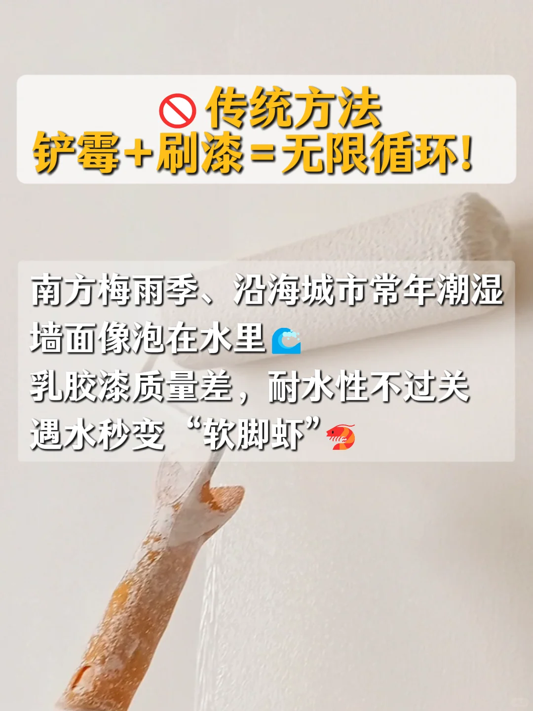 墙面渗水发霉？别让霉菌偷走健康！