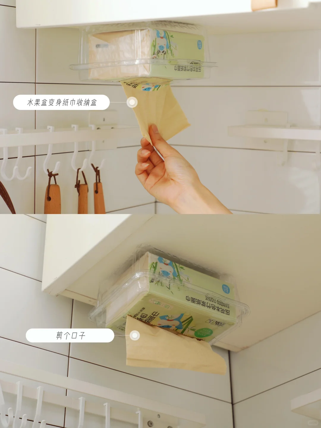 小“废”物,大作用,开启废物利用的魔法之旅