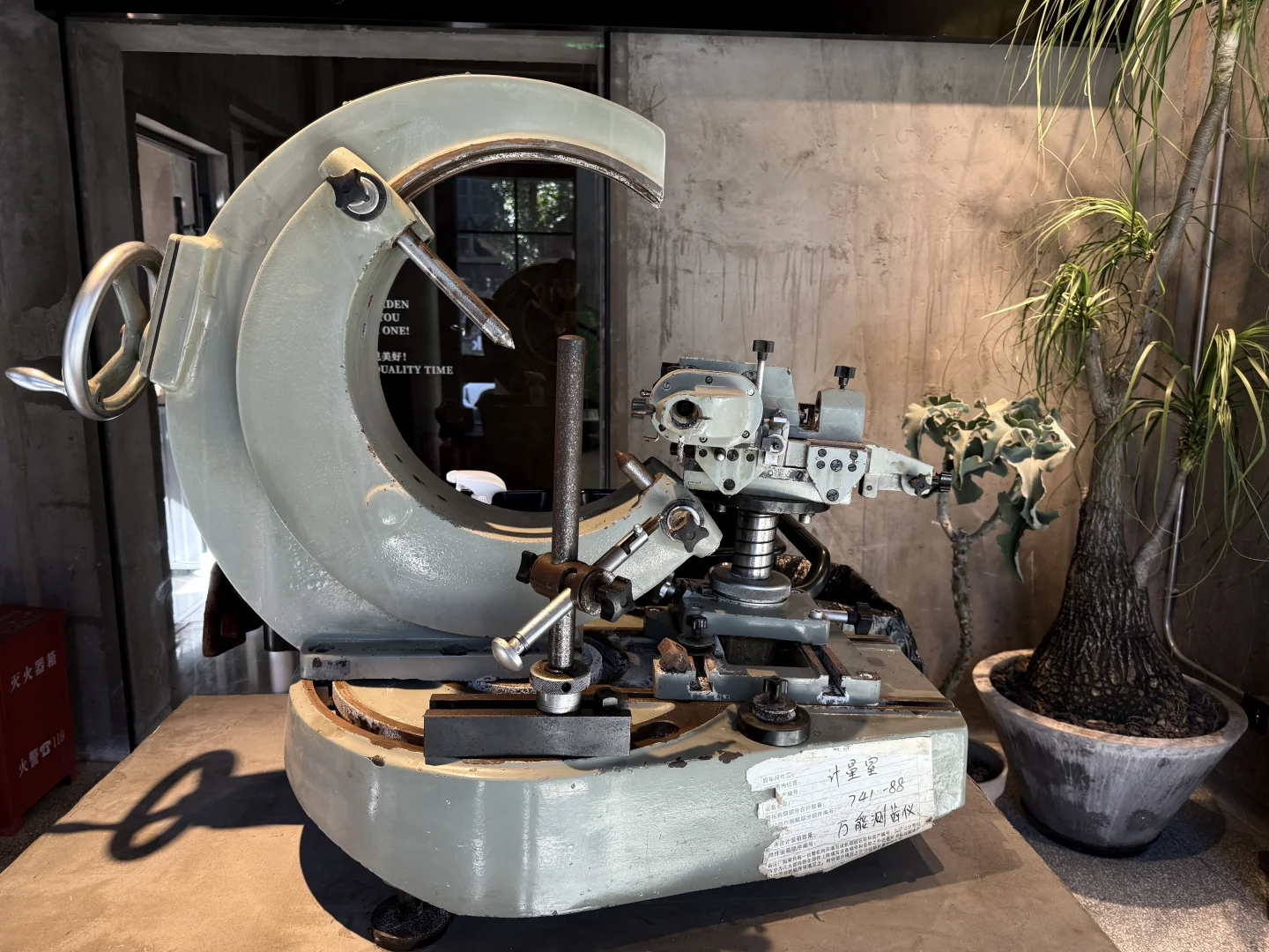 旧厂换新颜-钢架上的绿藤光阴