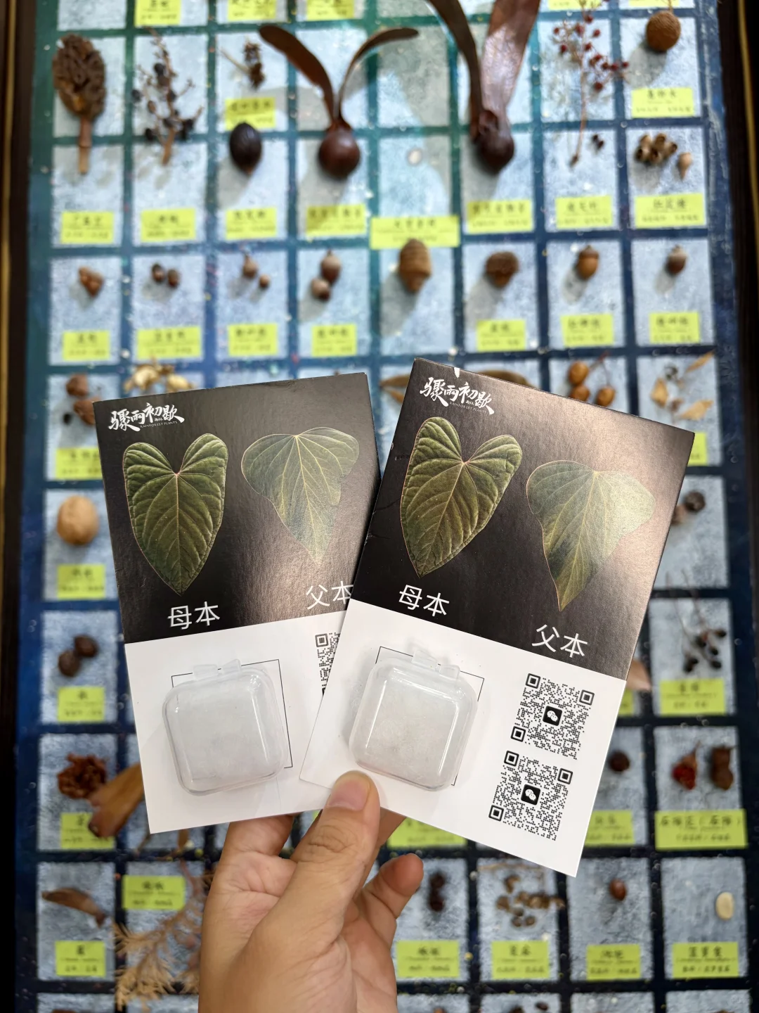 没有人能空手离开无锡热植展?