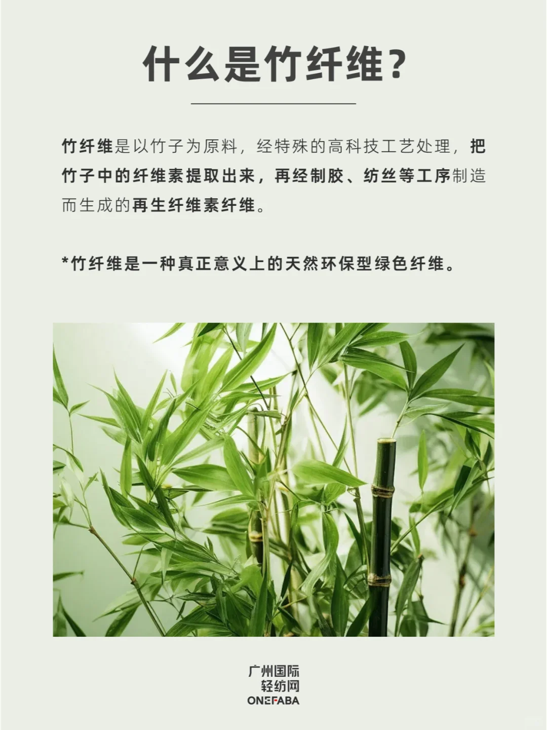 30秒GET一个面料知识 —— 竹纤维?