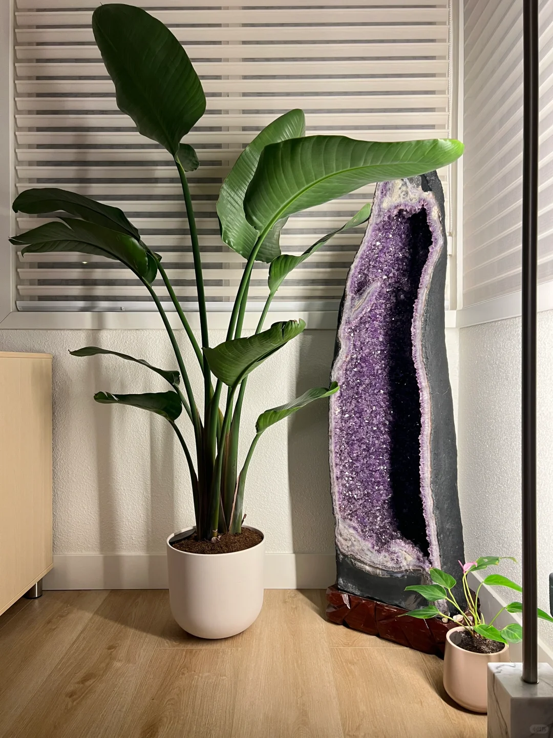 教科书级别的居家风水美学