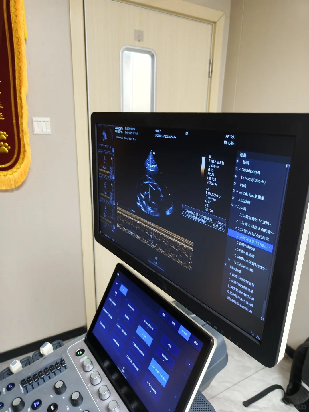 00后入职宠物医疗设备的第2个月