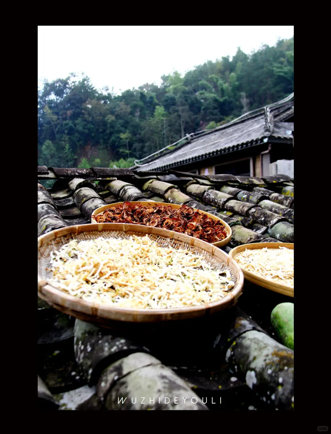 茶香漫古道时，体味那柯里戴家巷的古今对话