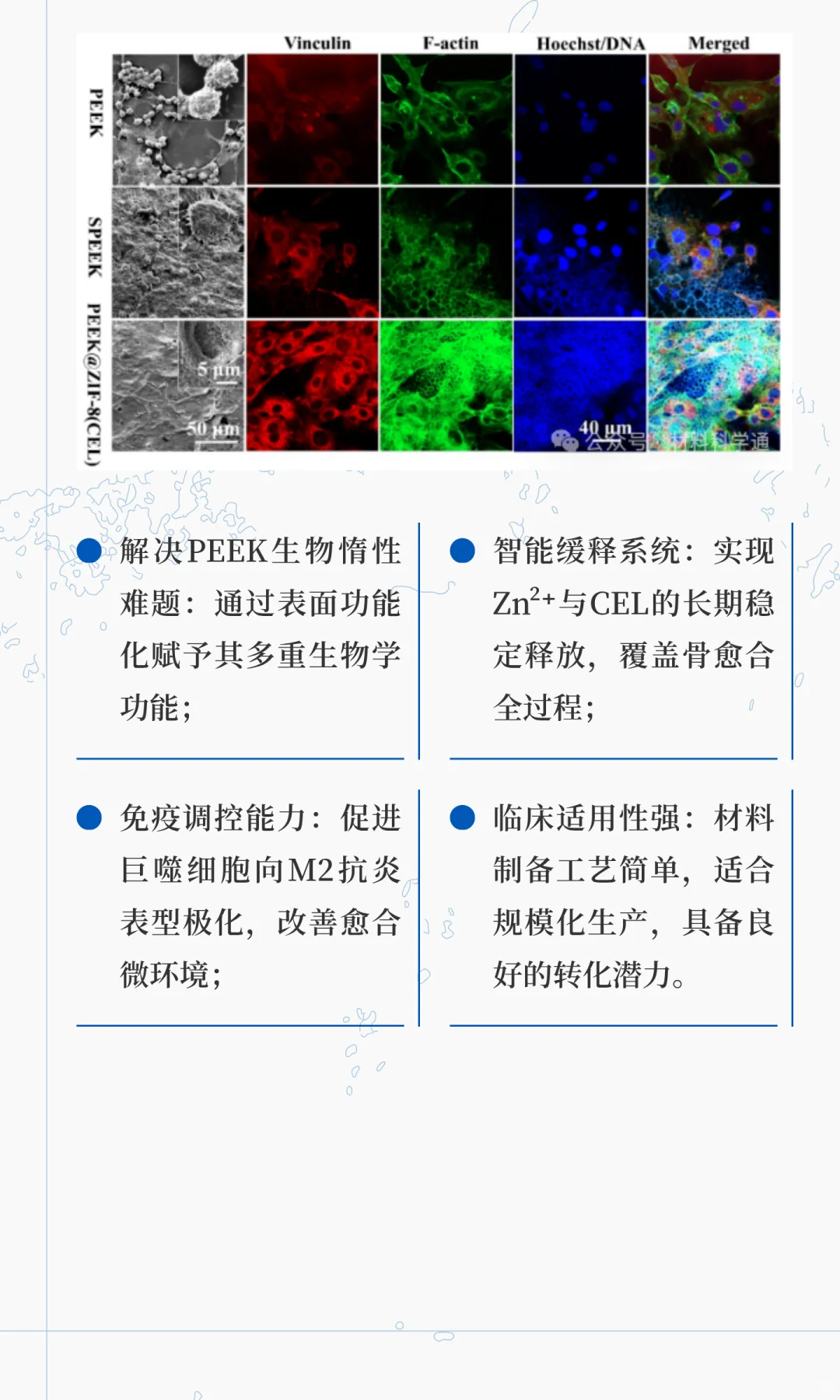 MOF改性PEEK骨植入材料！修复大段骨缺损同