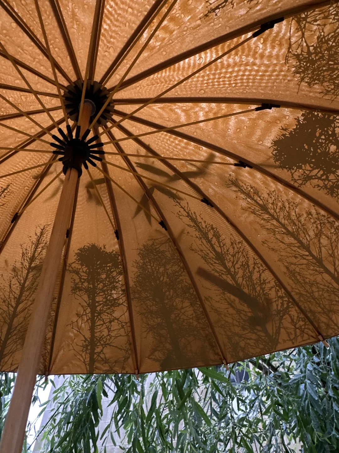 一打开，美无语了?……