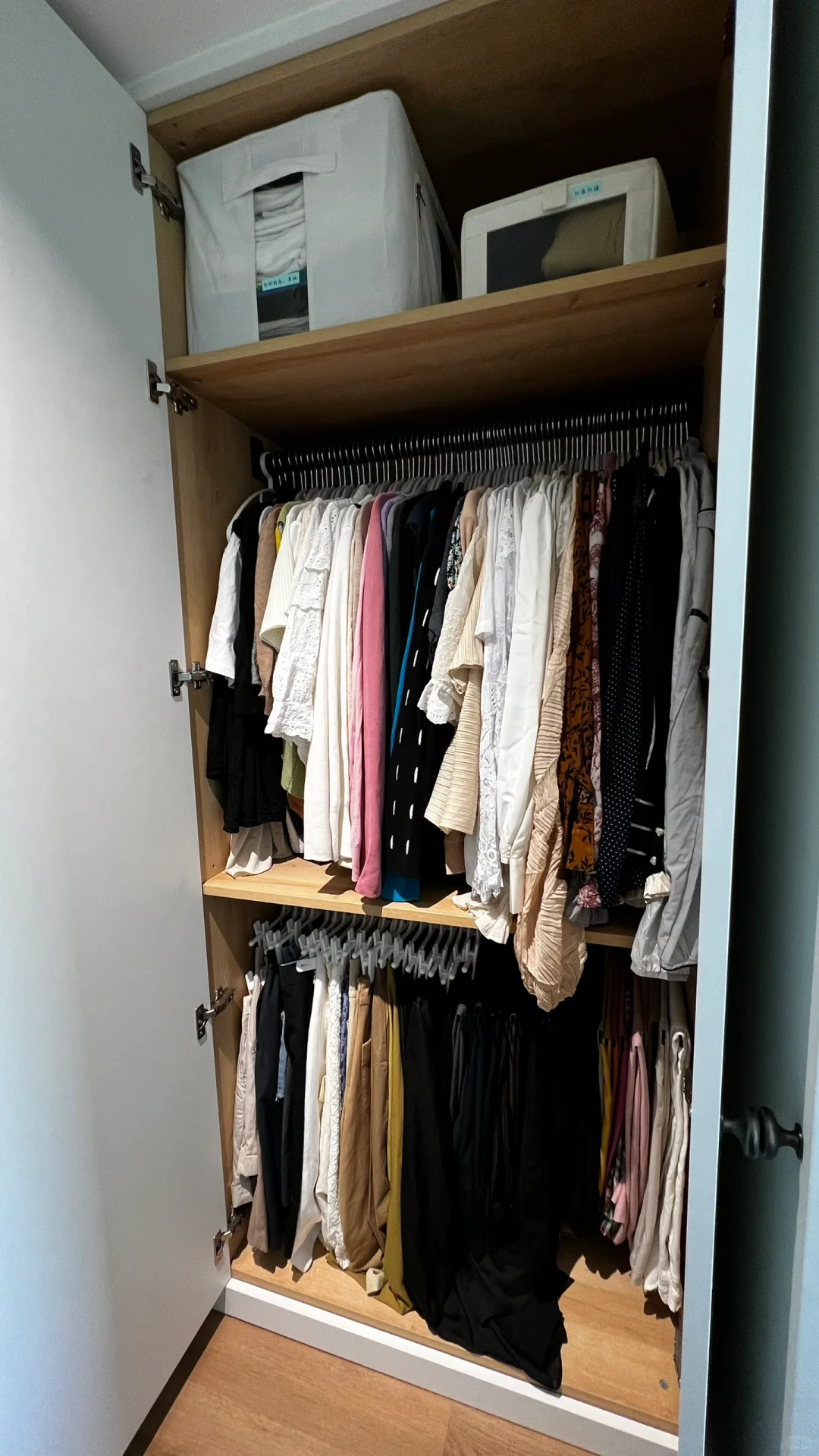 这专业整理师是真能糊弄啊‼️