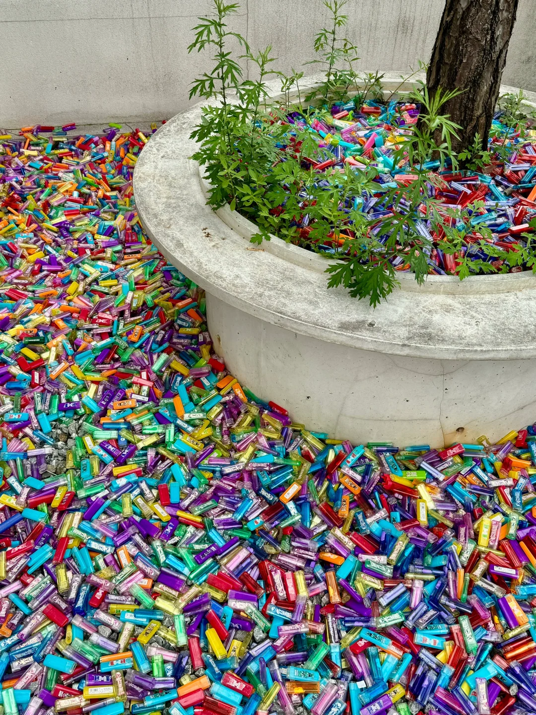 发现好看的材料都是垃圾做的