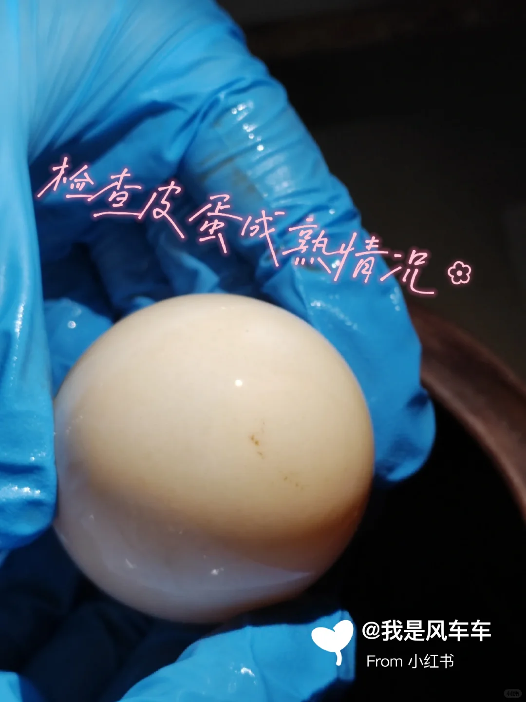 重生之我在学校制作皮蛋