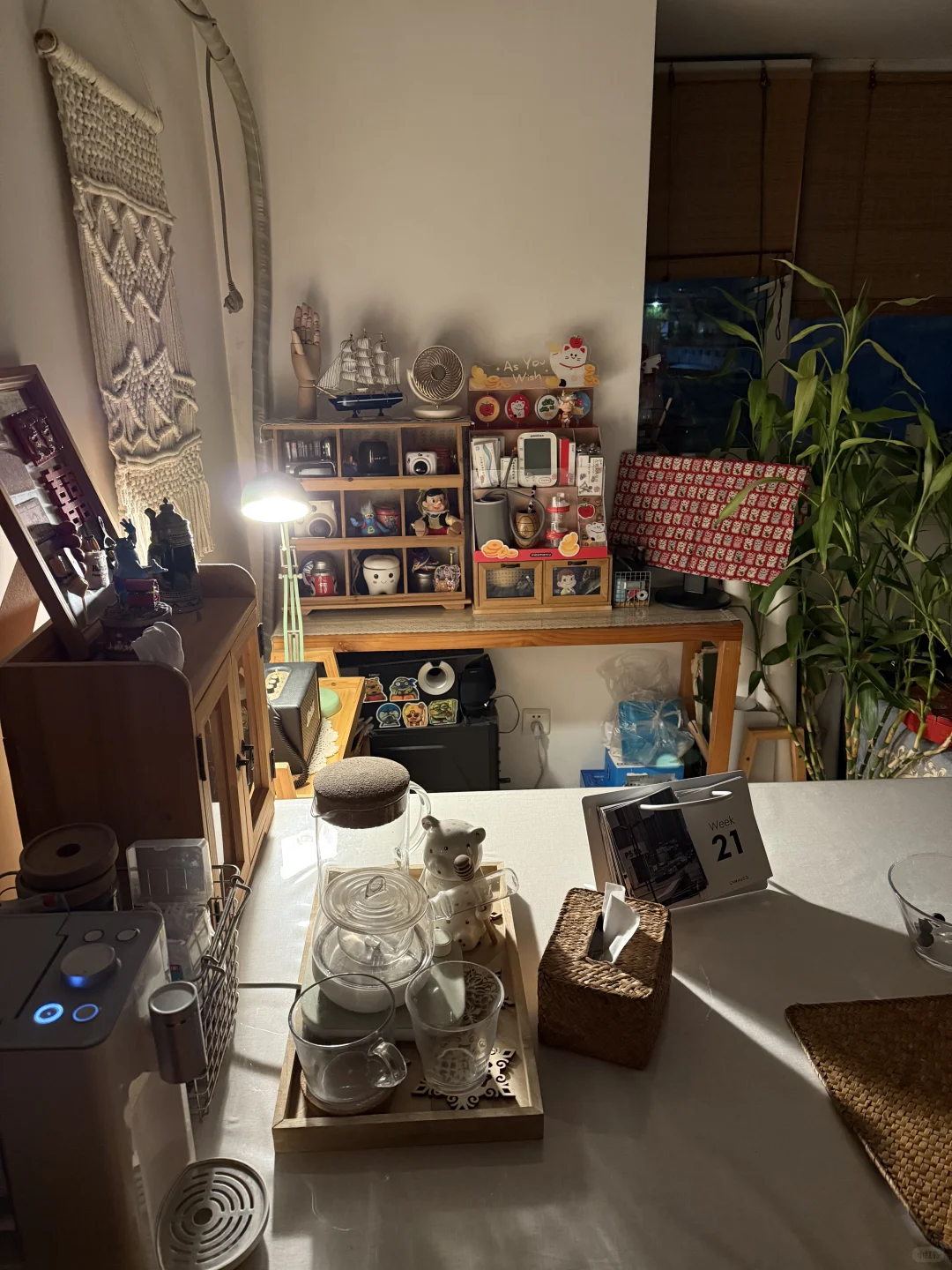 店员刚好收拾卫生要扔掉，被我废物利用了