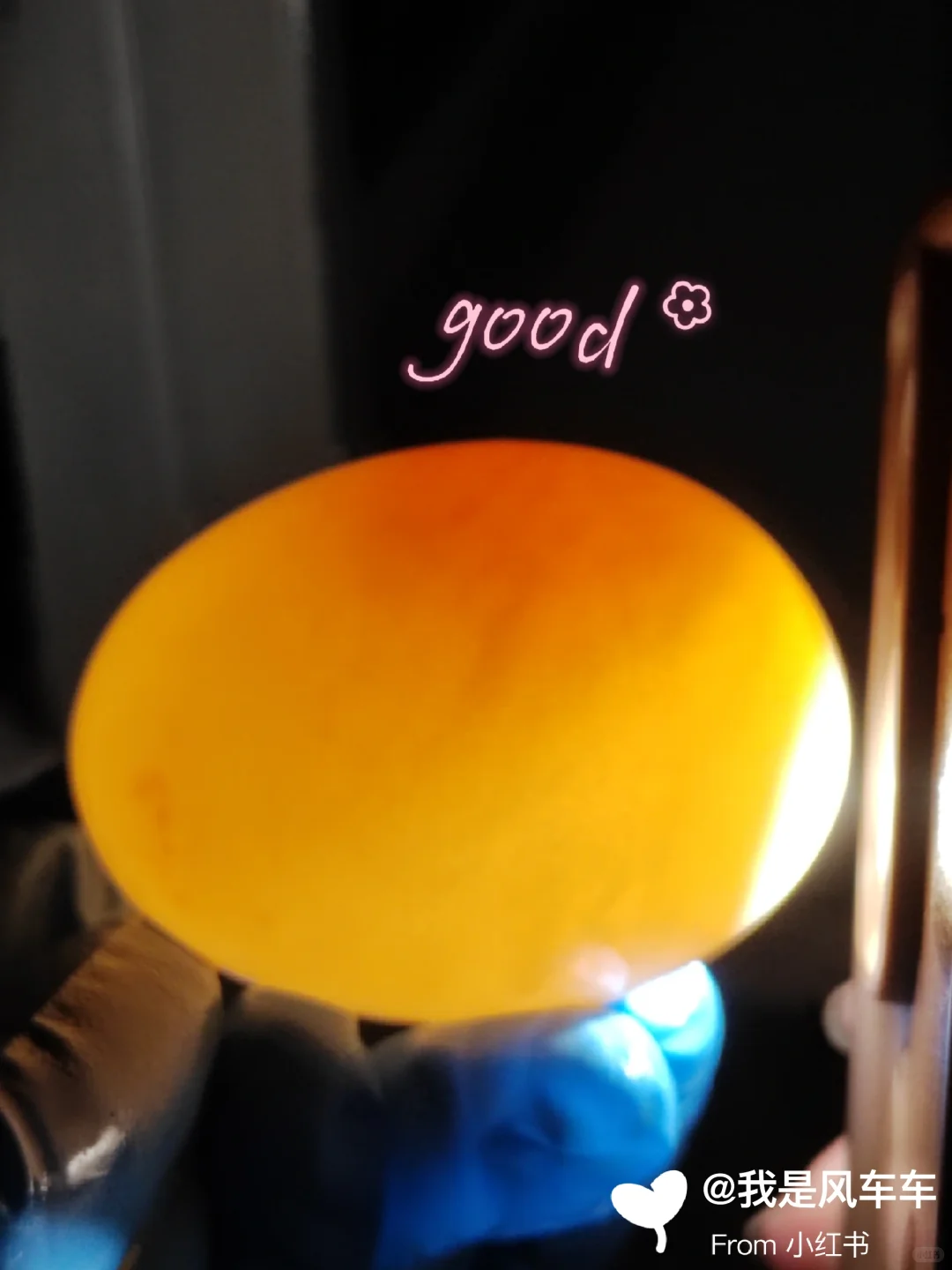 重生之我在学校制作皮蛋