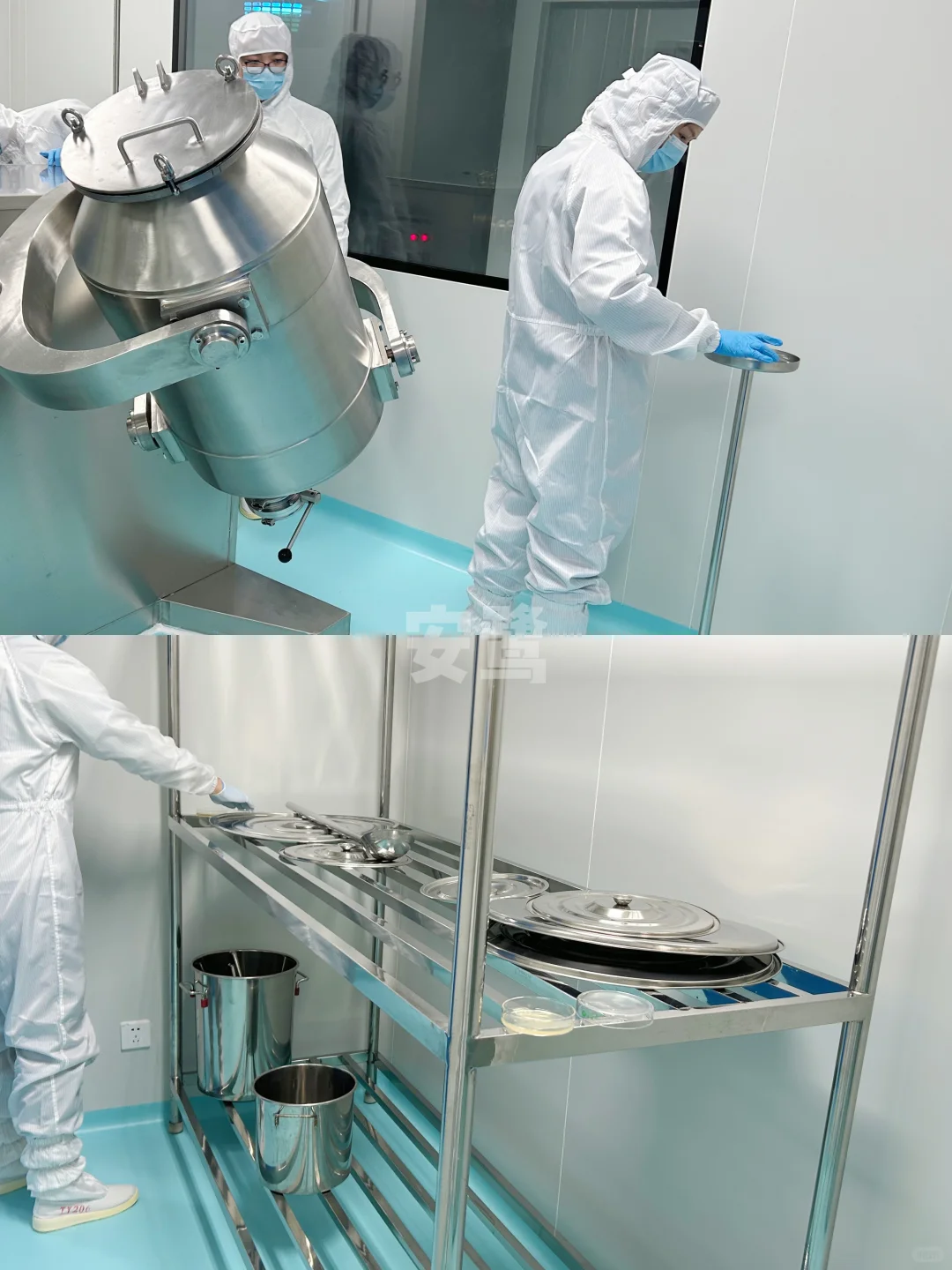 刚入职，老板就带我逛工厂，这规模真能处！