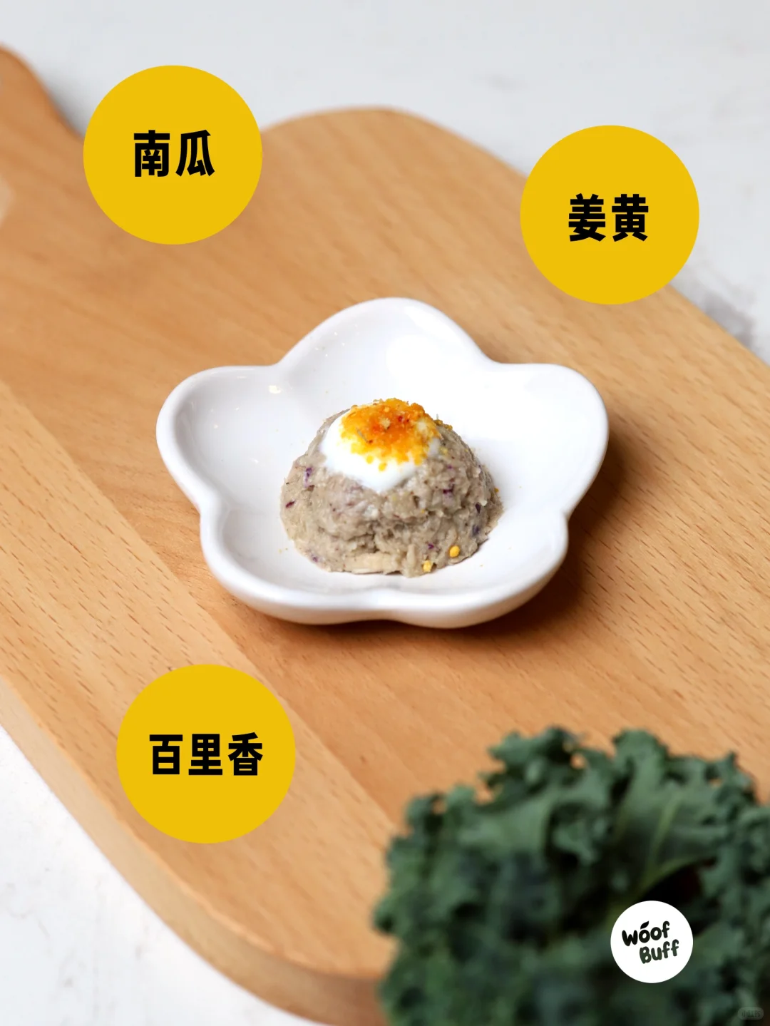 给毛孩子的植物养生智慧