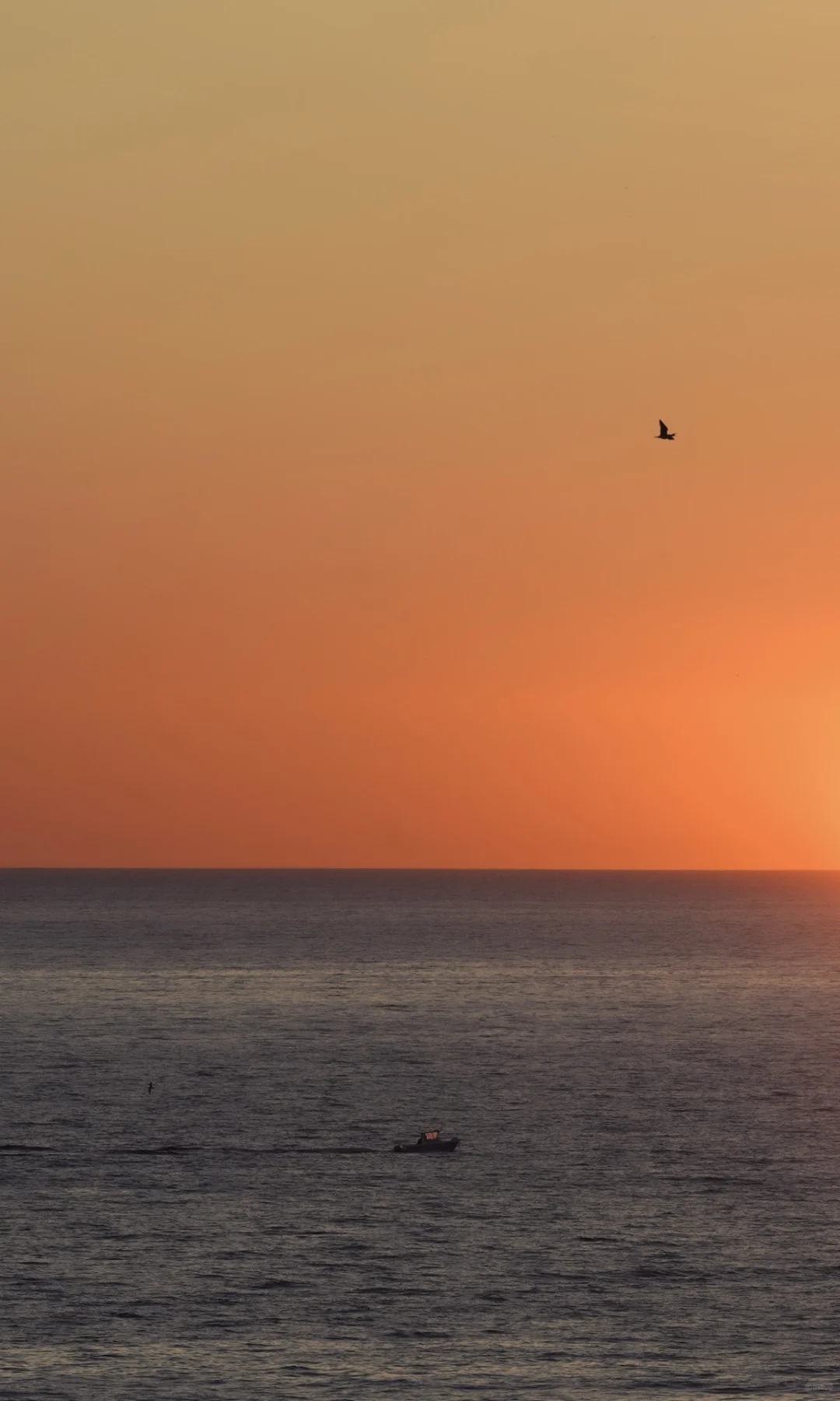 海上漂浮的时间