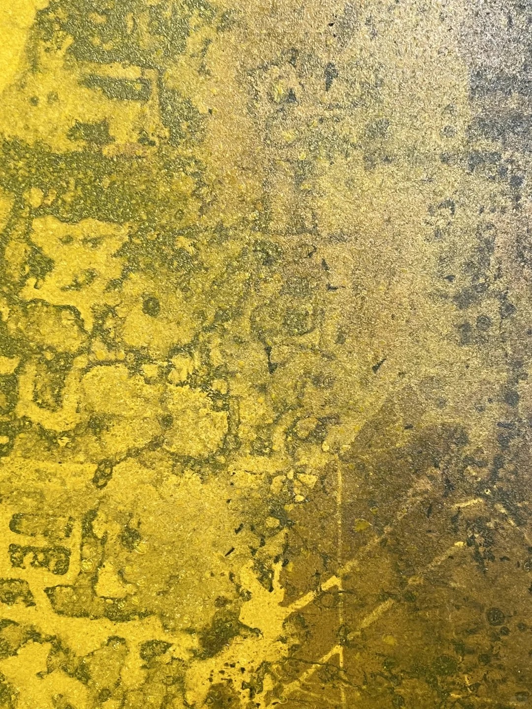 露珠与闪电：郑忠《文脉之光》的刹那澄明