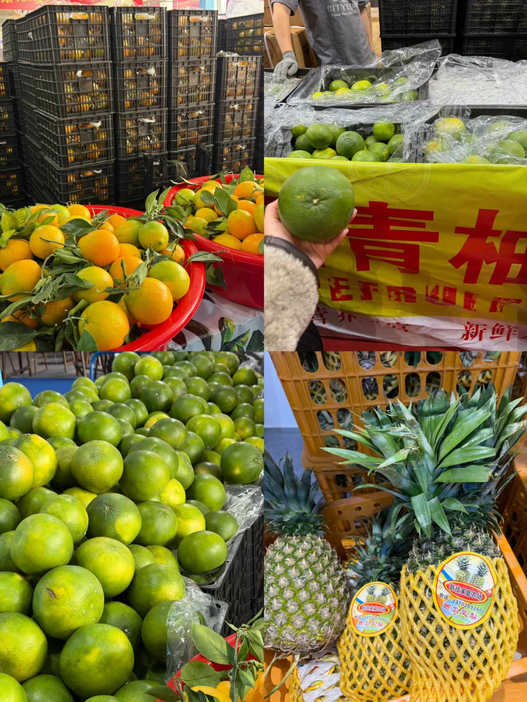 运城首届进出口商品博览会来了！0门票冲！?