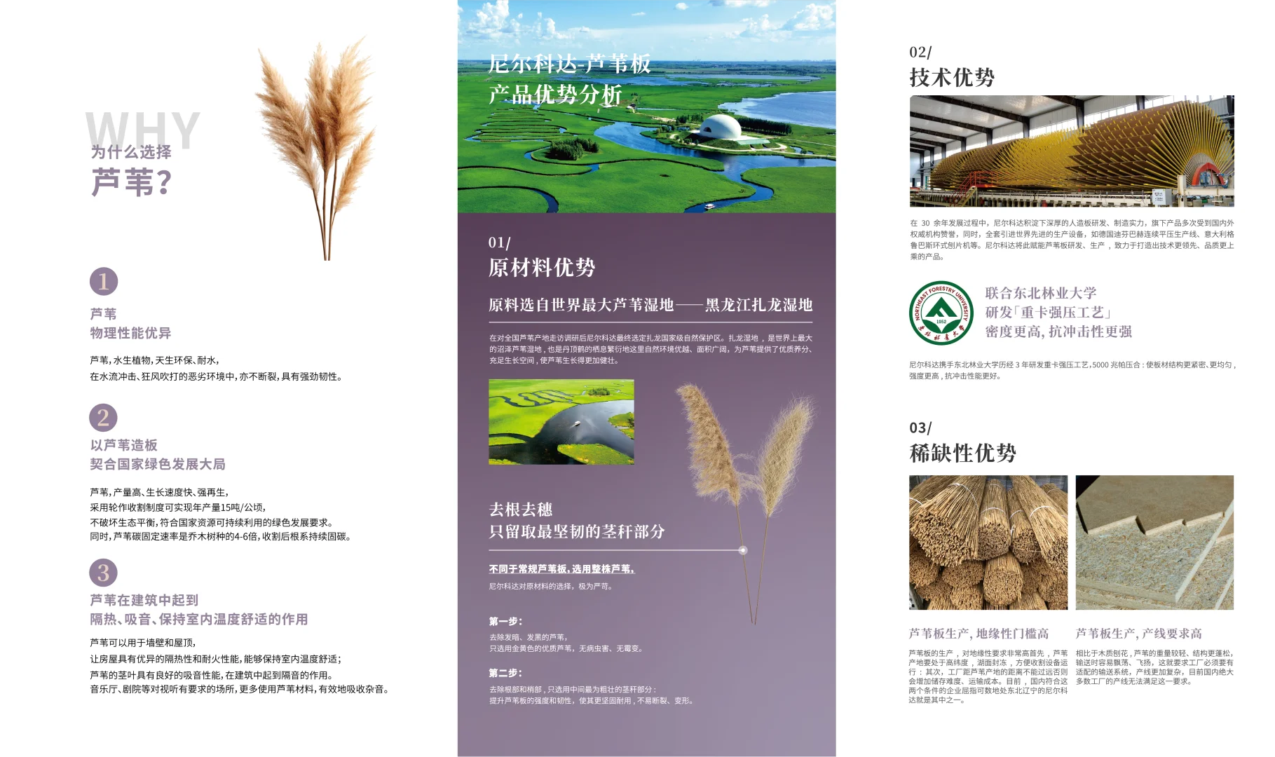 尼尔科达芦苇板先进的生产工艺