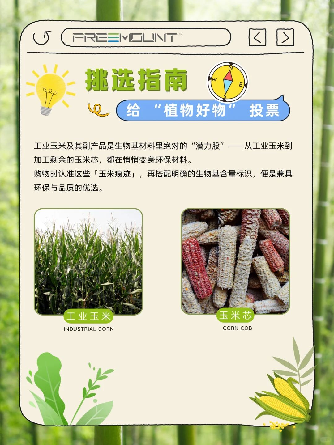 ?生物基,让植物成为生活的“新原料”