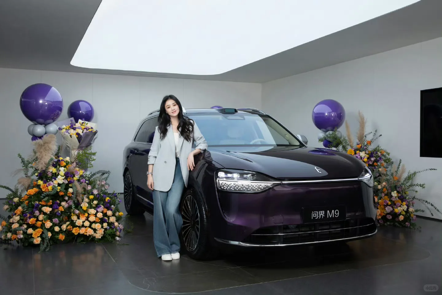 问界新款M9隐私车窗！怪不得这么多明星都开