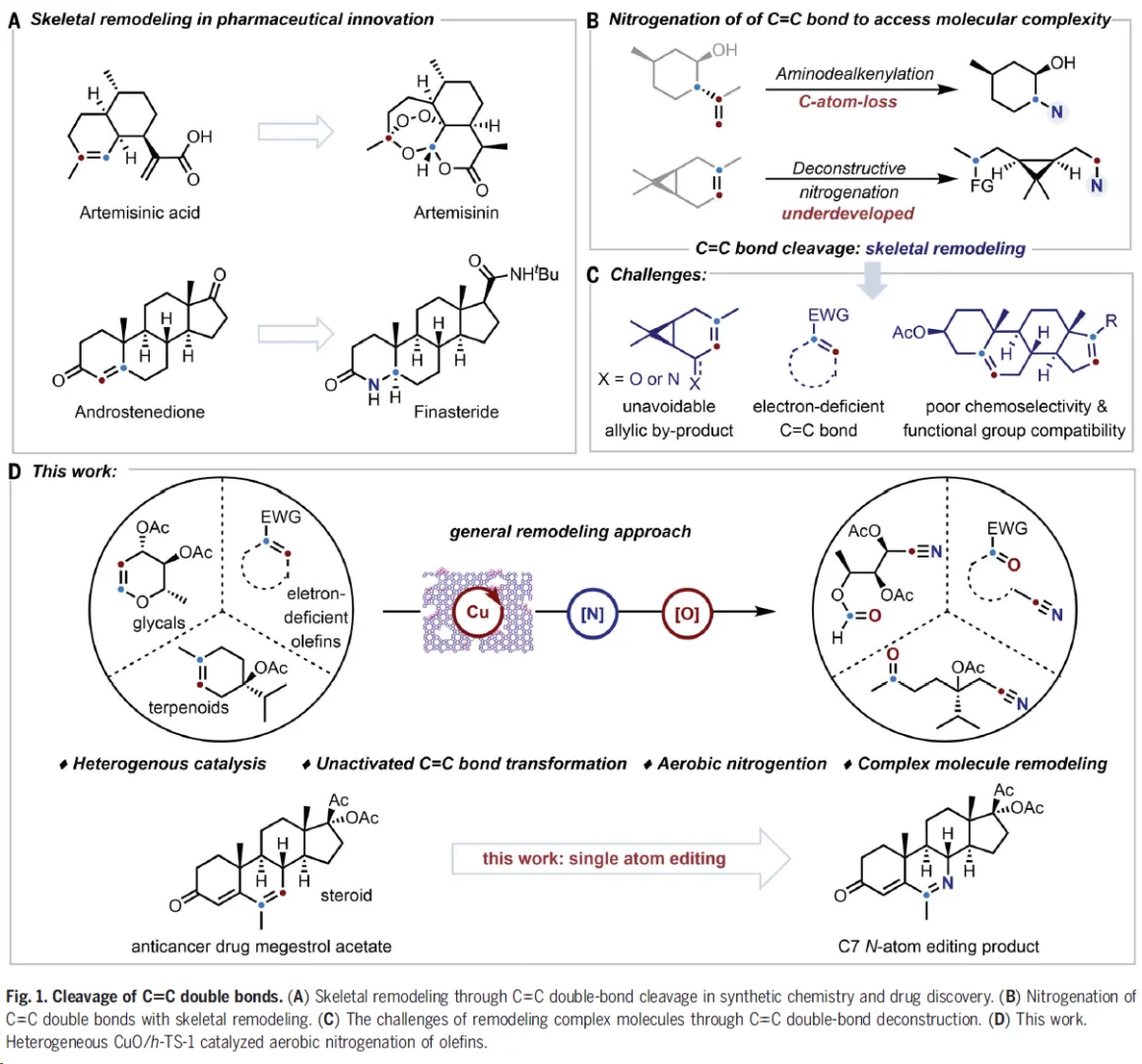 精准剪裁C=C键:天然分子秒变药物合成前体