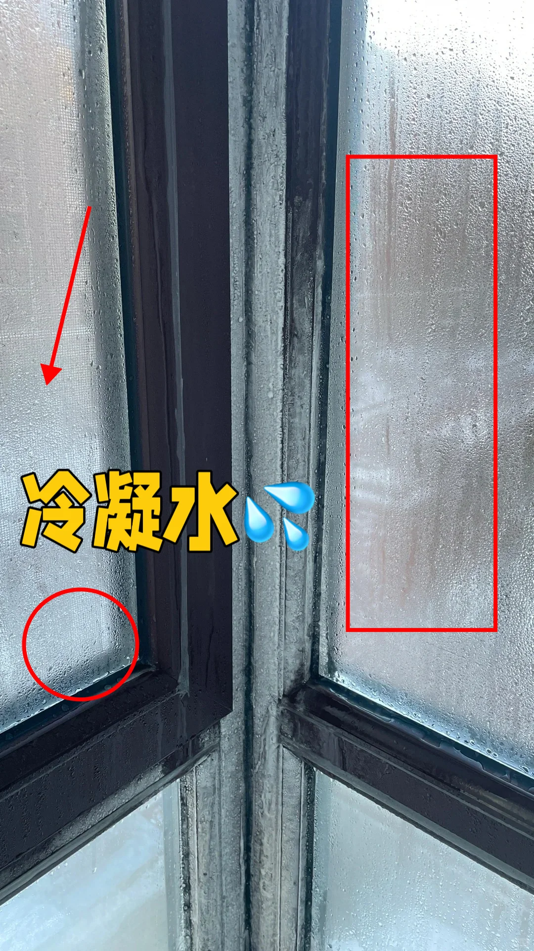 北方别装断桥铝窗⁉️冬天窗户好多冷凝水结冰