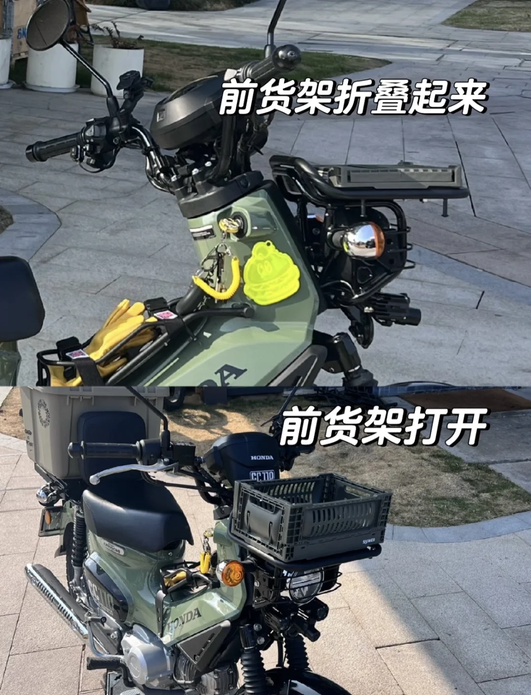 让我看看你们幼兽都改装了啥