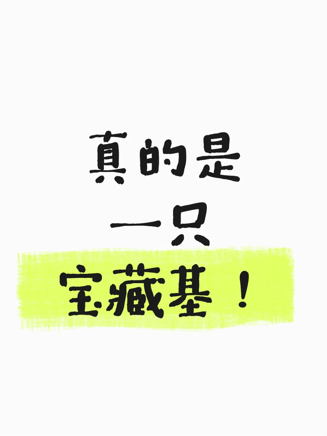 姐妹们！挖到一只化工赛道的宝藏基