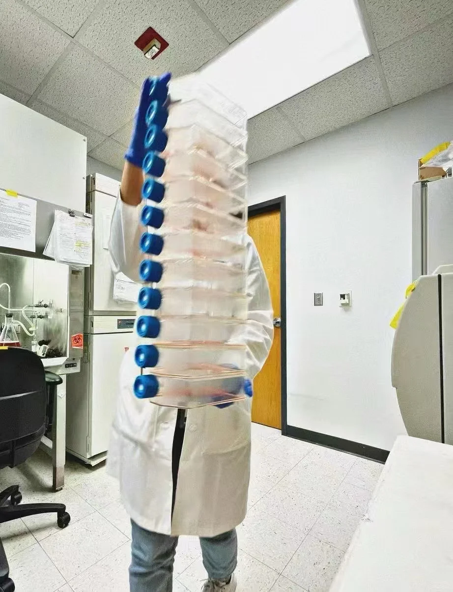 救命～实验外包真救命!